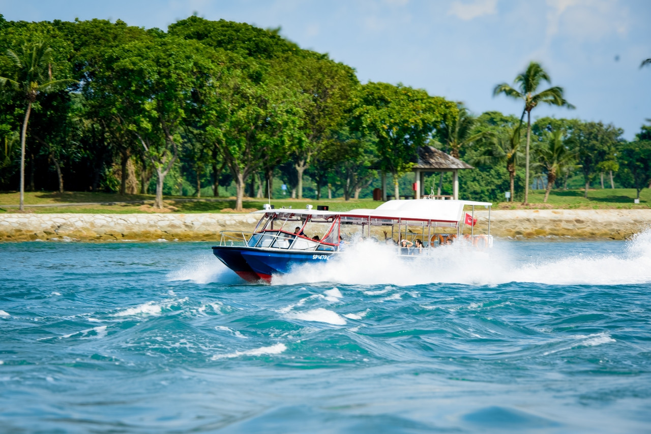 COMBO: Singapore Oceanarium + Albatross Hop-On Hop-Off Speedboat Tickets – photo 7