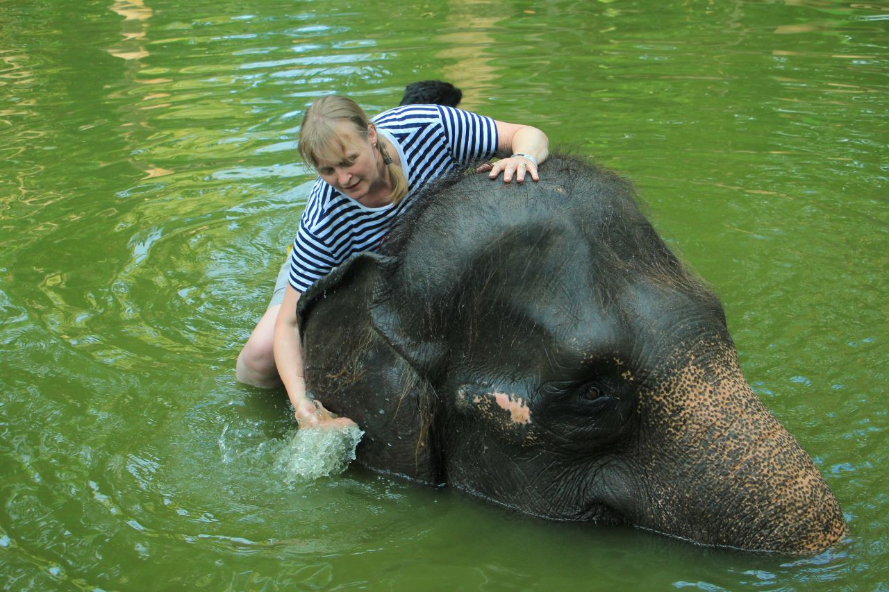 (발리) 롬복 야생동물 공원 : 코끼리 목욕 체험 (하이 티 혹은 코스 점심 포함)
