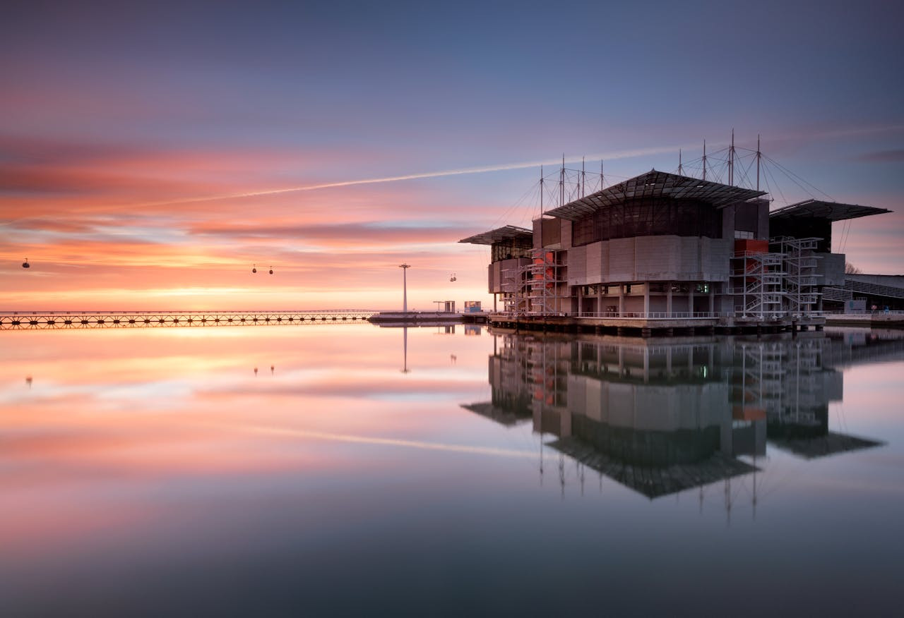 Oceanário de Lisboa Ticket – photo 8