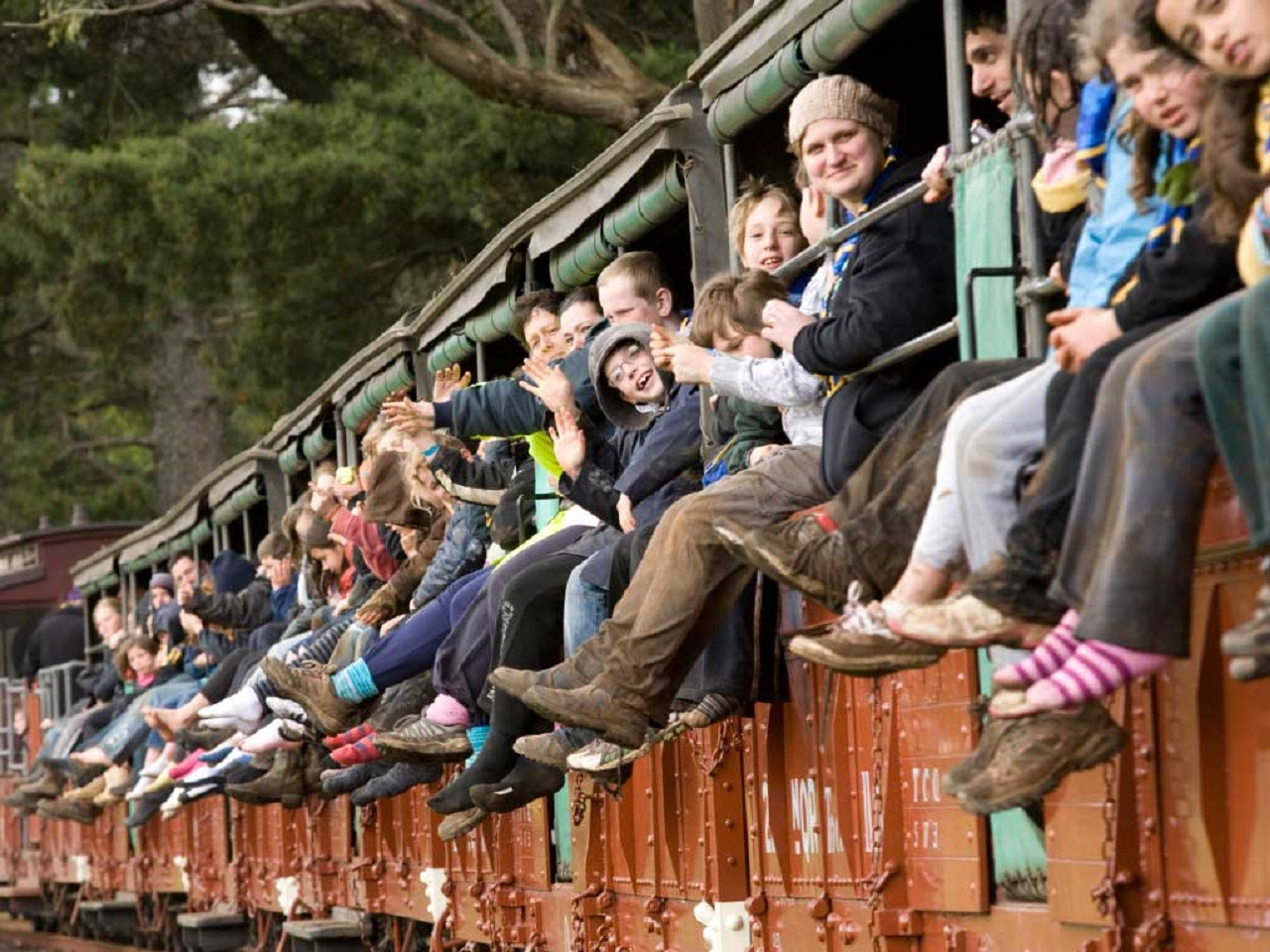 Puffing Billy and Healesville Sanctuary Tour – photo 2