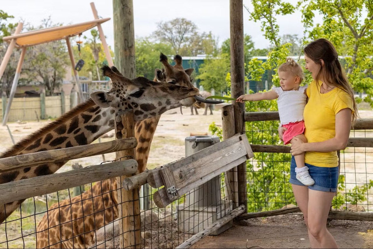 ZooTampa at Lowry Park Ticket – photo 2