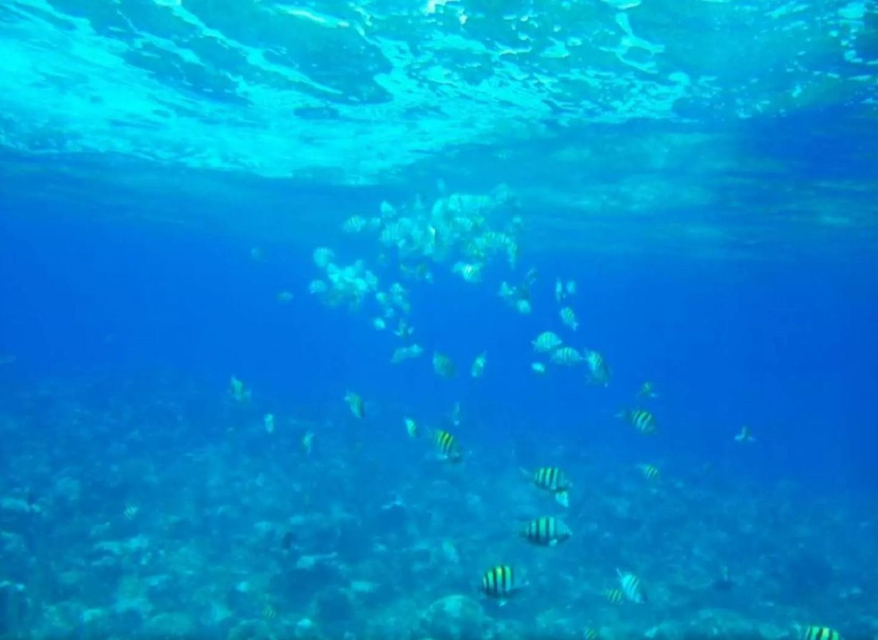 Kenting Houbihu Semi-Submarine Experience – photo 6