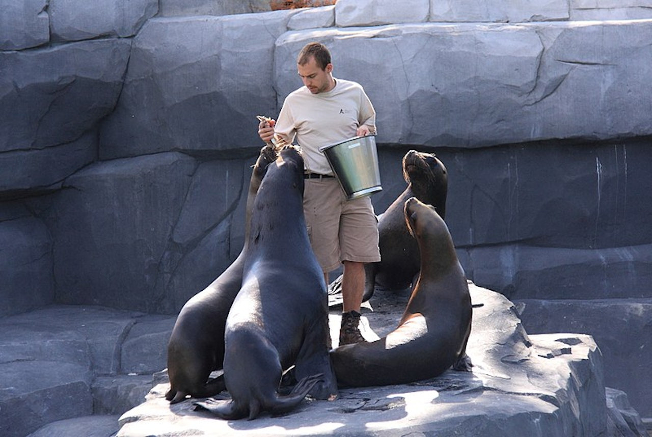 [파리] 파리 동물원 (Parc Zoologique de Paris)