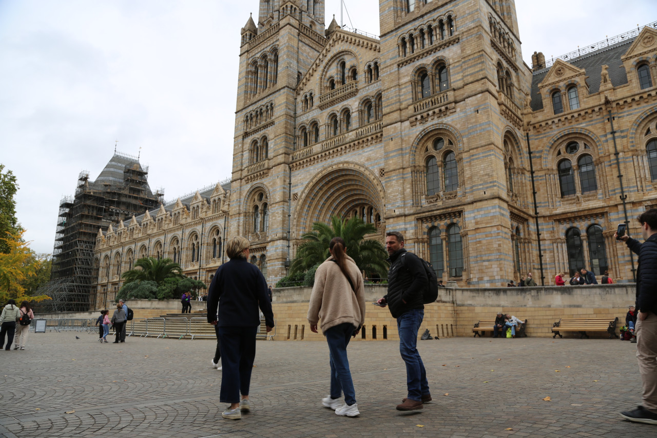Natural History Museum Tour with English-Speaking Guide – photo 5