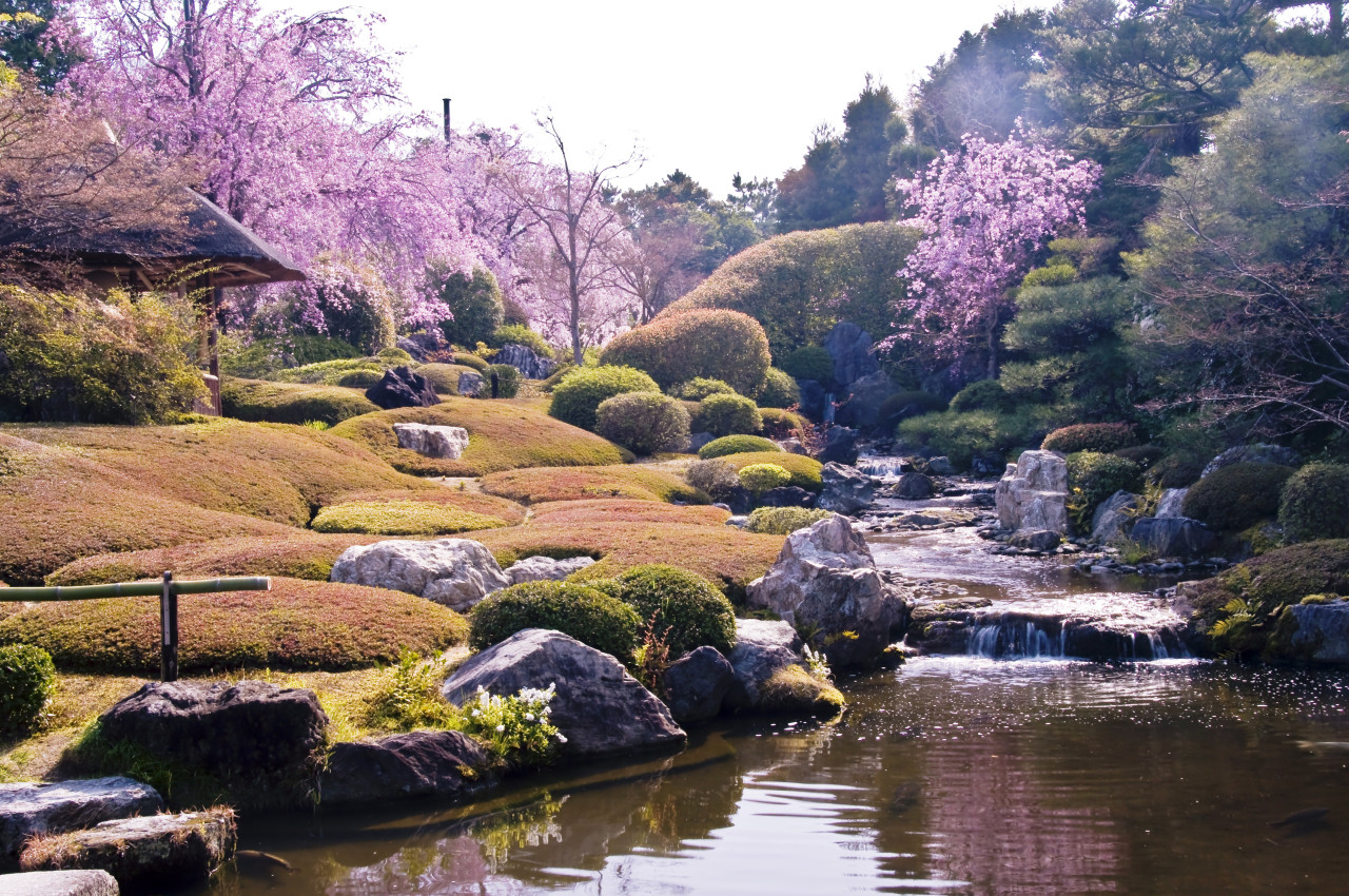 Myoshinji Temple Self-Guided Tour with Lunch – photo 6