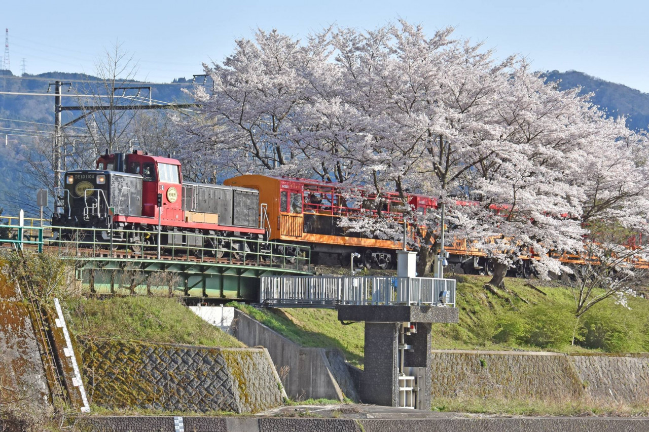 Sagano Romantic Train – photo 9