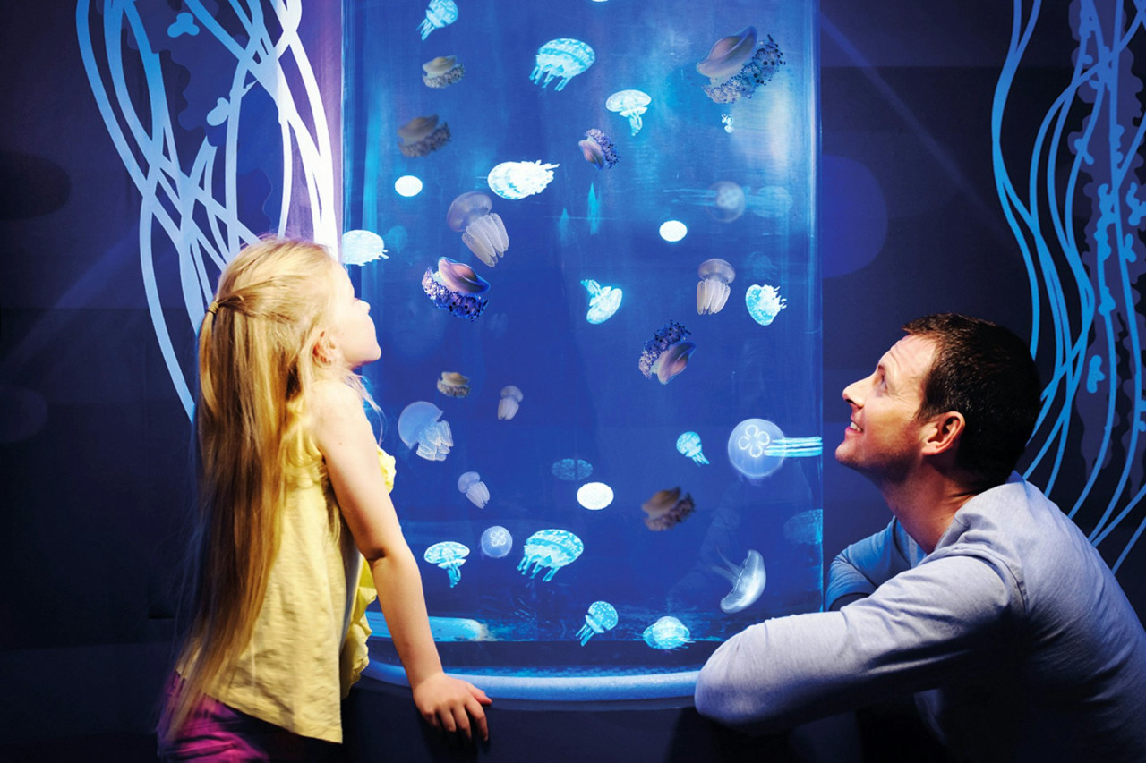 Gardaland SEA LIFE Aquarium Ticket – photo 8