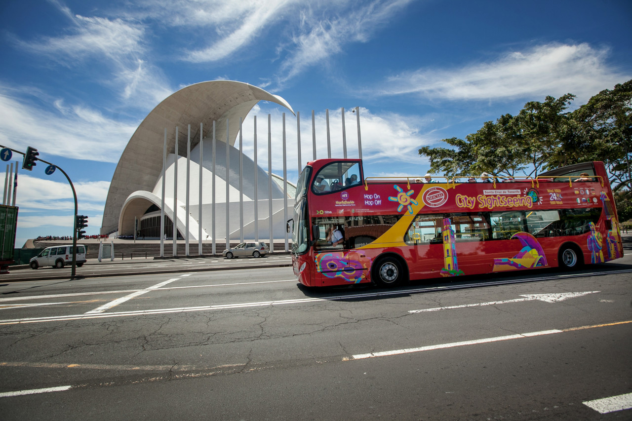 City Sightseeing Santa Cruz de Tenerife Hop-on Hop-off Bus Tour – photo 2