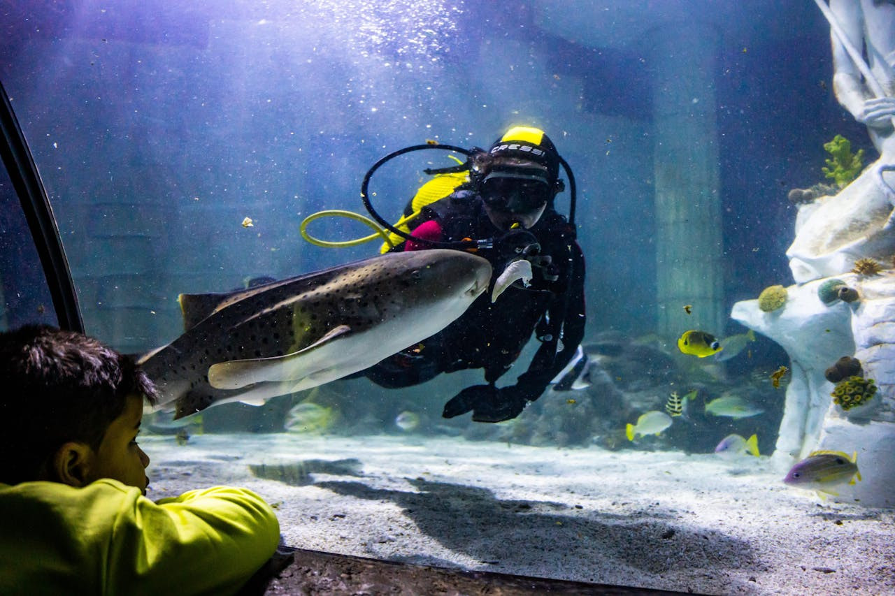 SEA LIFE Porto Ticket – photo 2