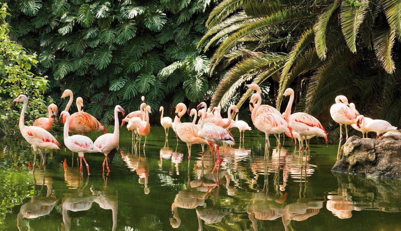 Loro Parque Ticket – photo 9