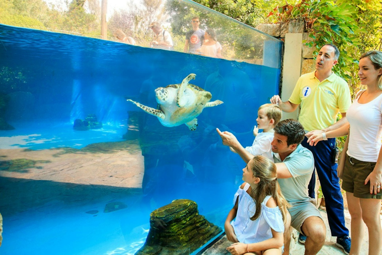 Palma Aquarium: Skip The Line Ticket + Optional 3D Cinema Aquadome – photo 9