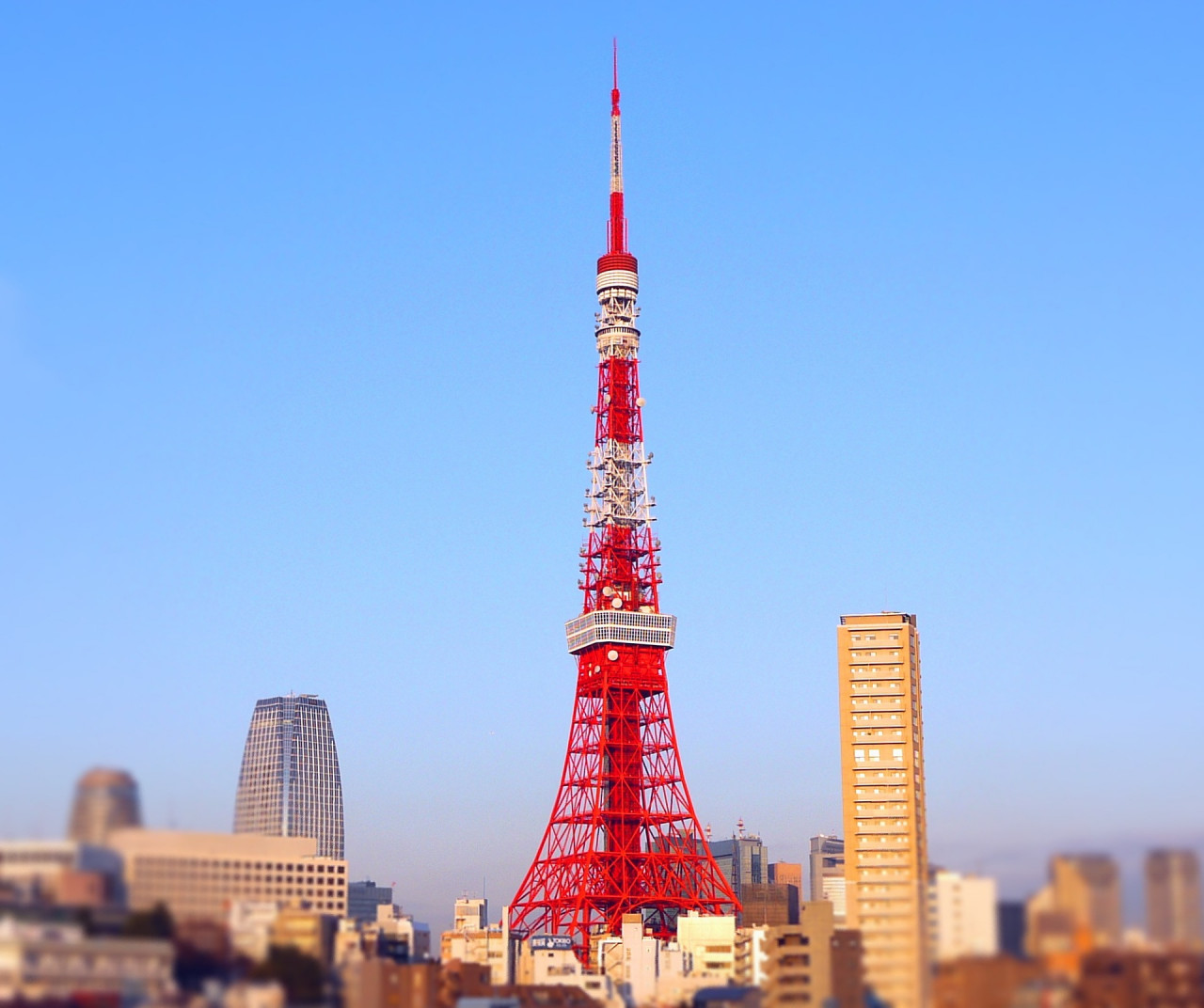 [도쿄]  도쿄 타워 전망대