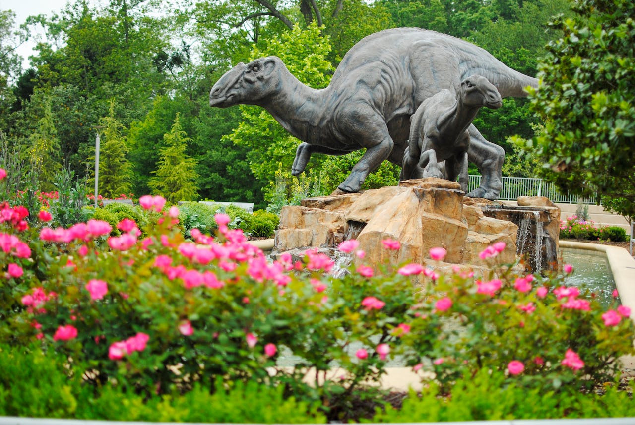 Atlanta CityPASS – photo 4