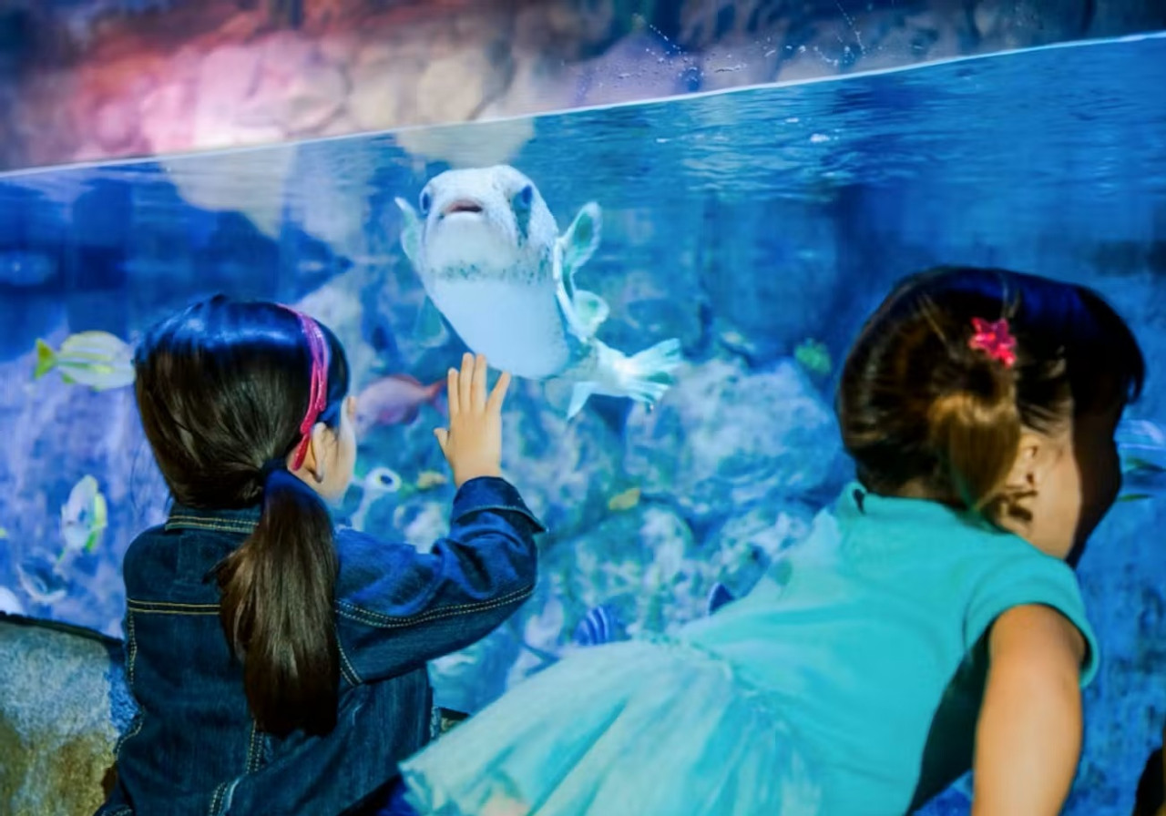 SEA LIFE New Jersey Aquarium Ticket – photo 7