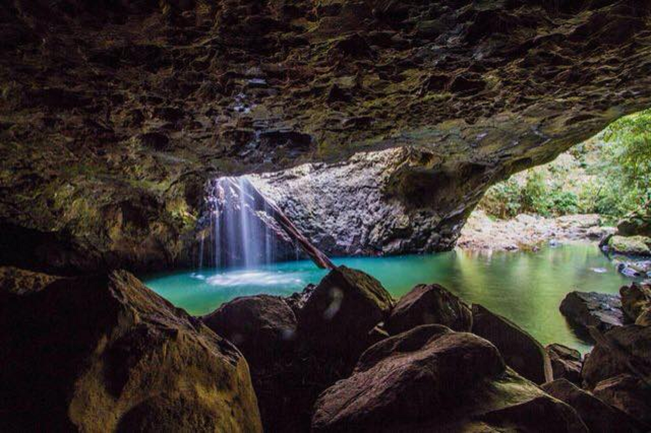 Springbrook National Park Night Tour – photo 4