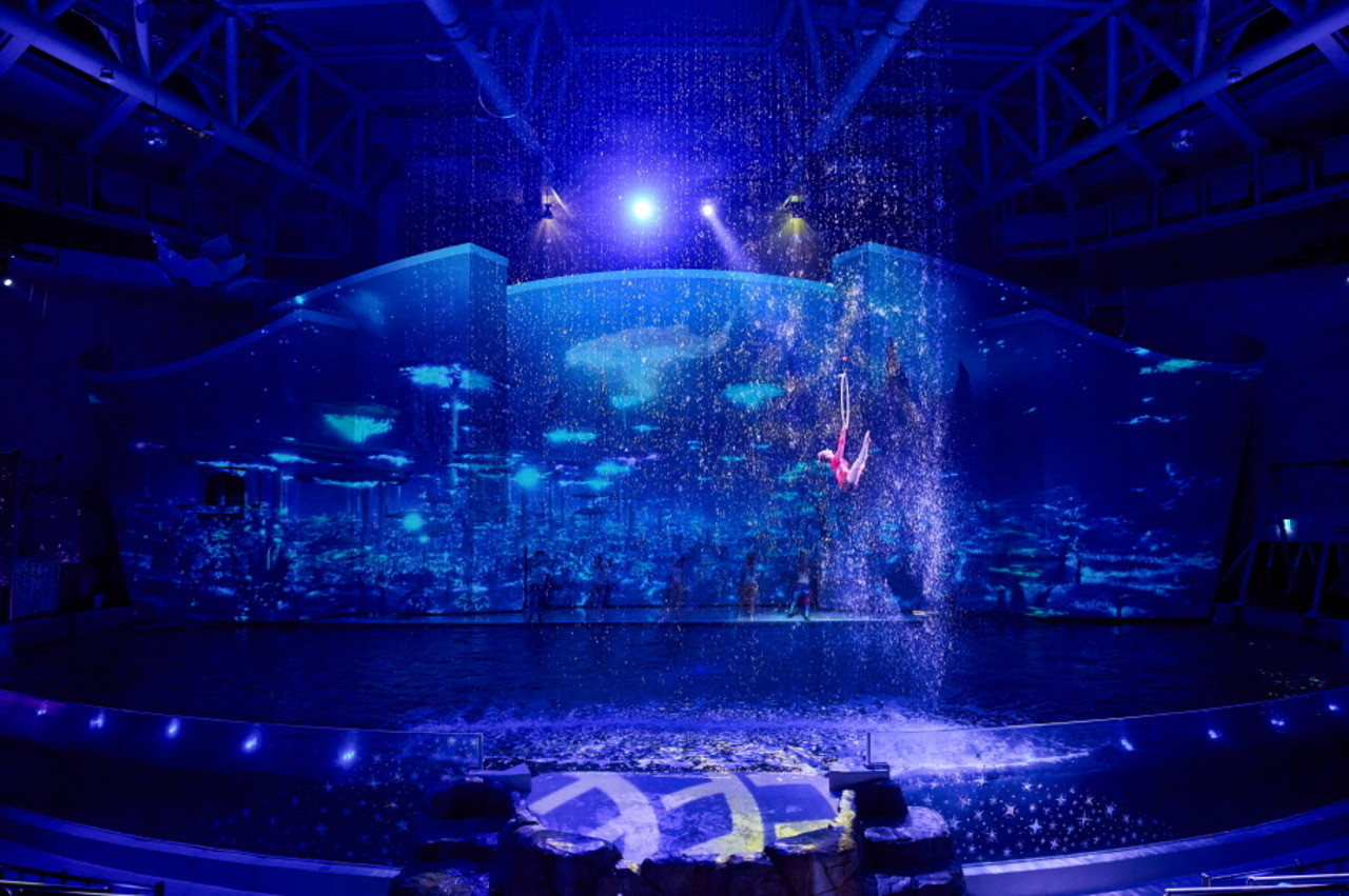 Aqua Planet Jeju Aquarium Ticket – photo 5