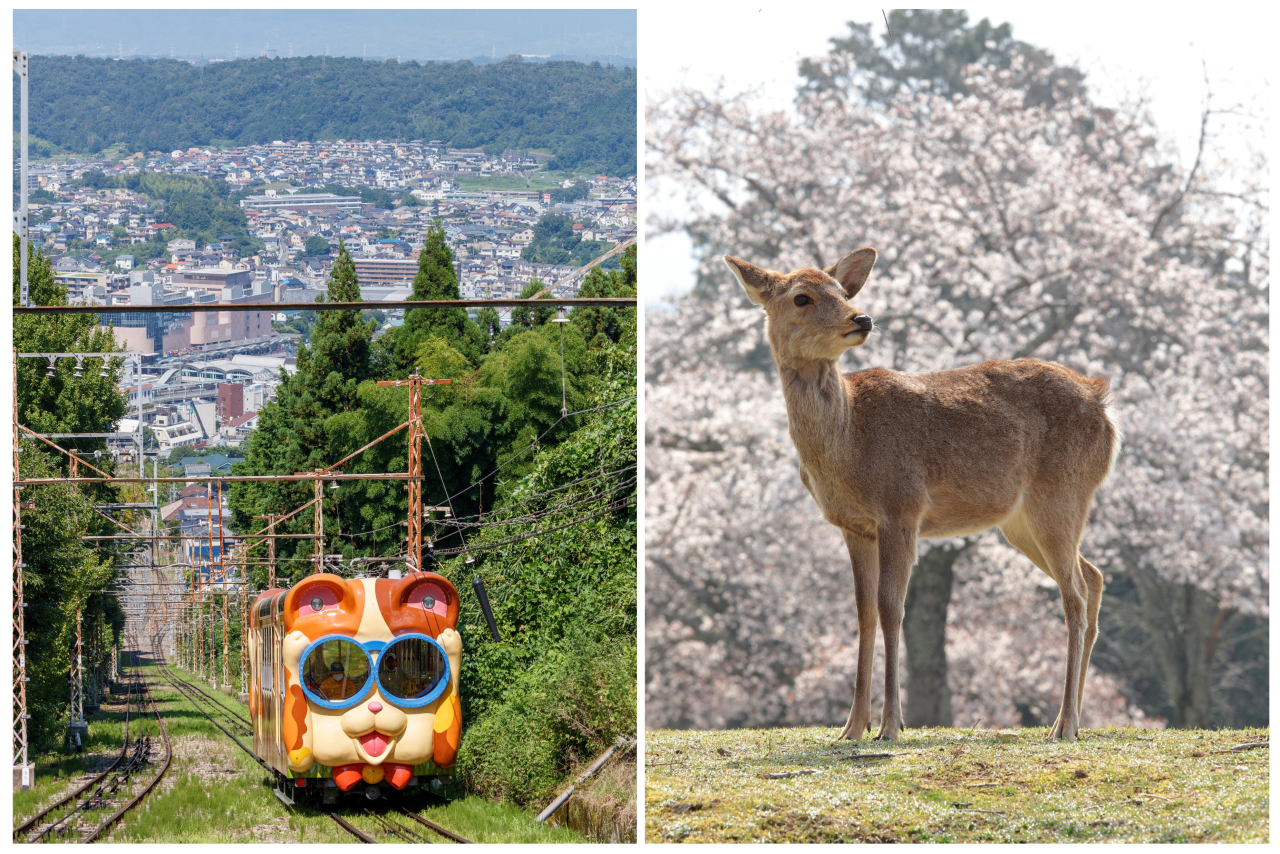 [즉시확정, QR입장] 킨테츠 철도 패스