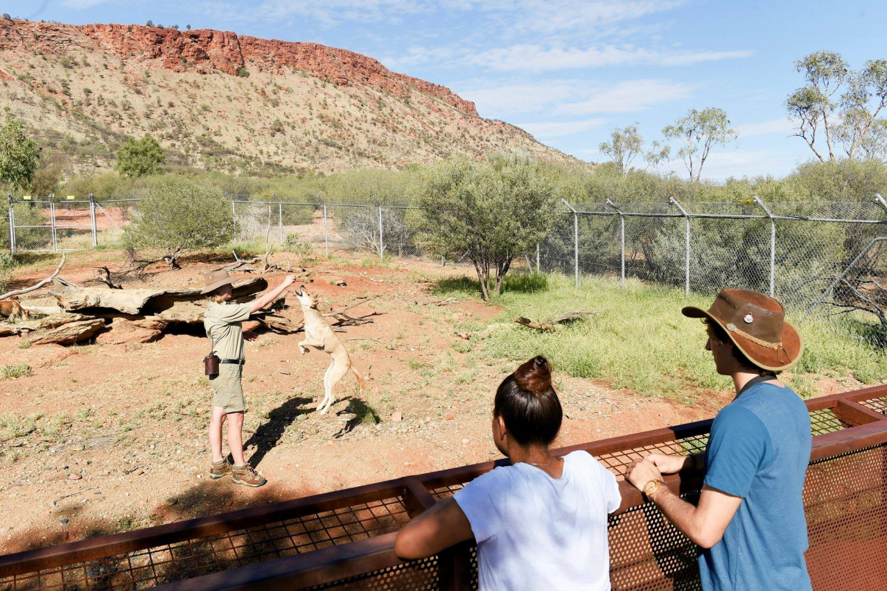 Alice Springs Desert Park – photo 2