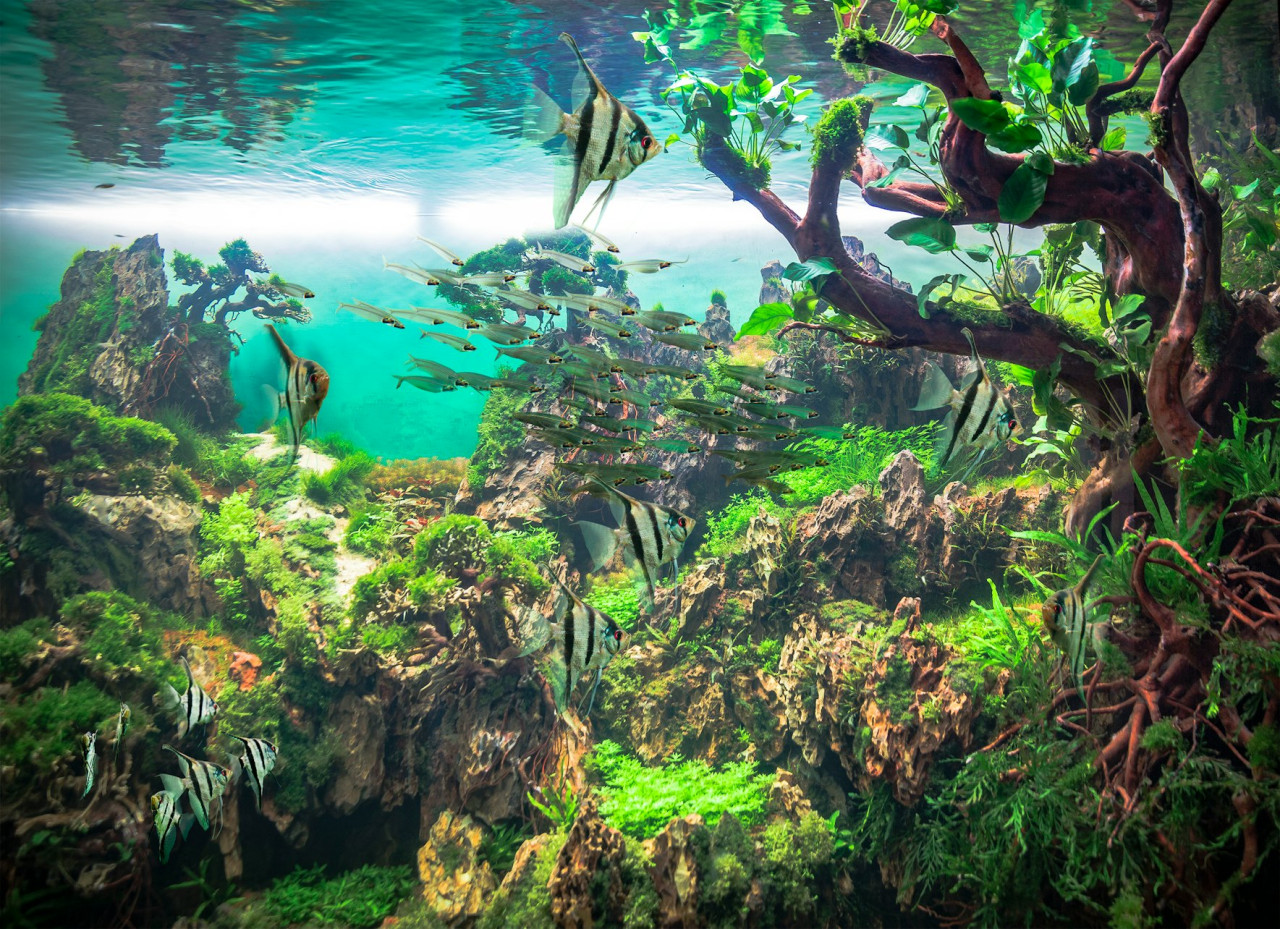 Loro Parque Ticket – photo 5
