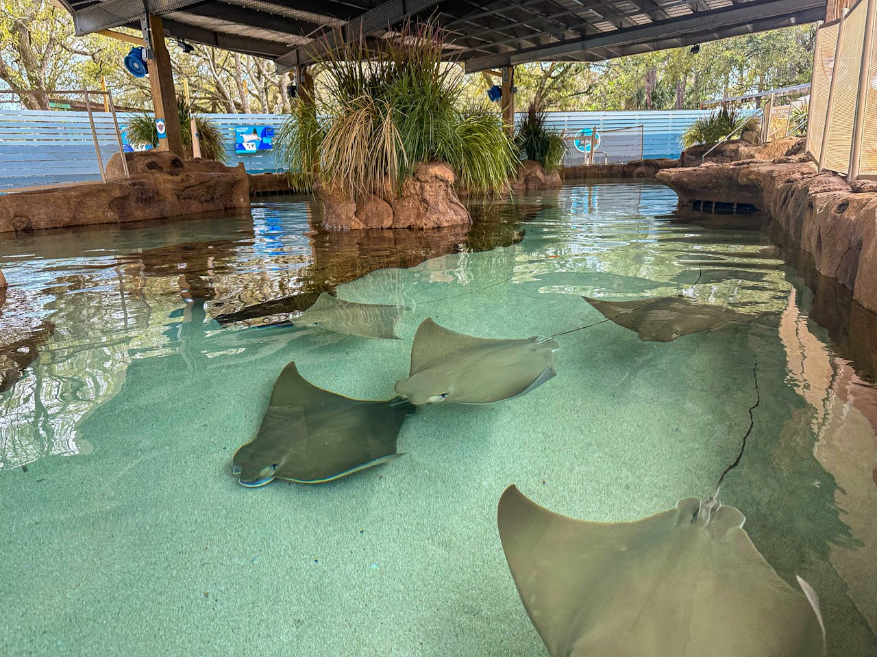 ZooTampa at Lowry Park Ticket – photo 9