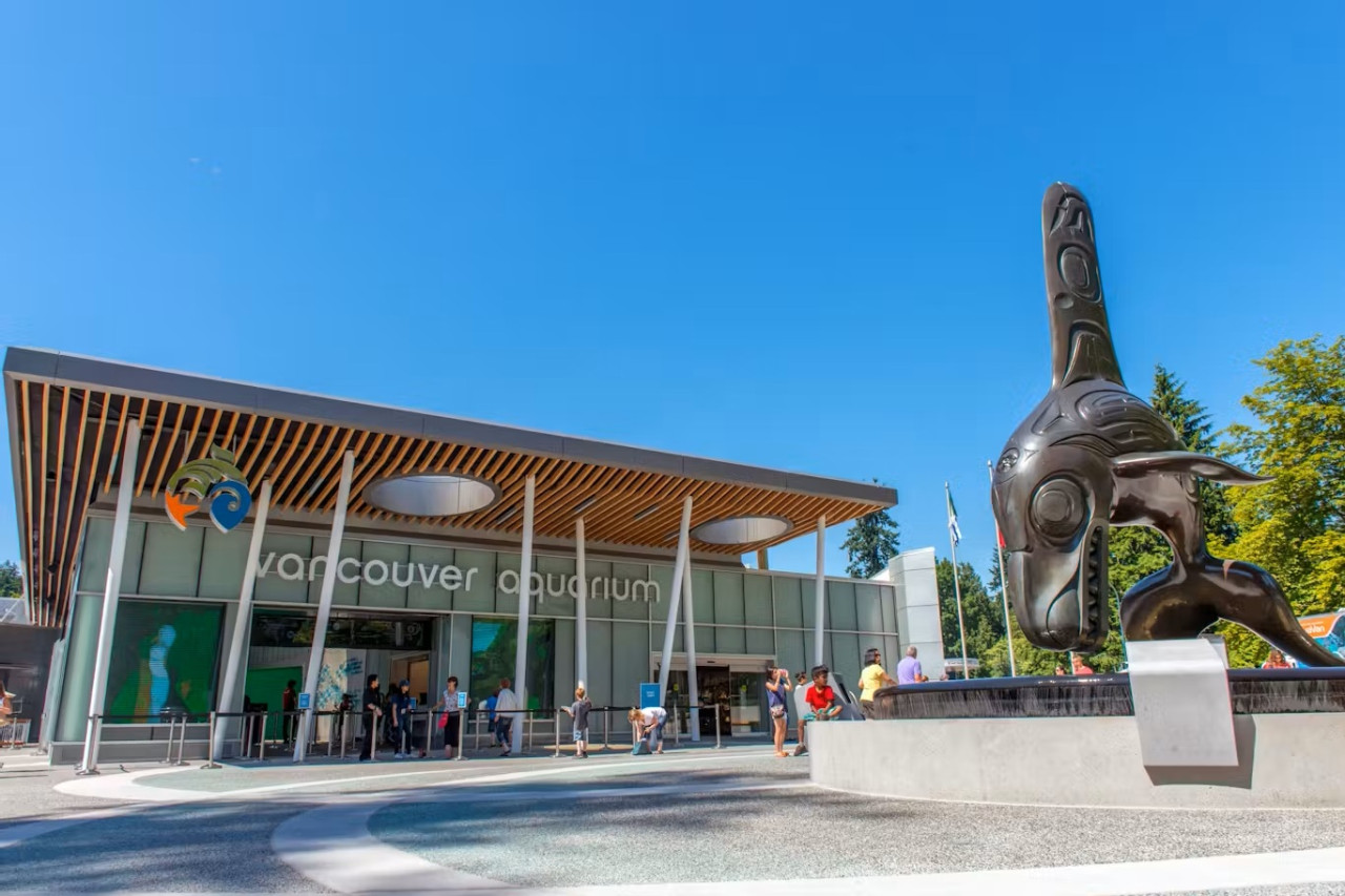 Vancouver Aquarium Ticket – photo 2