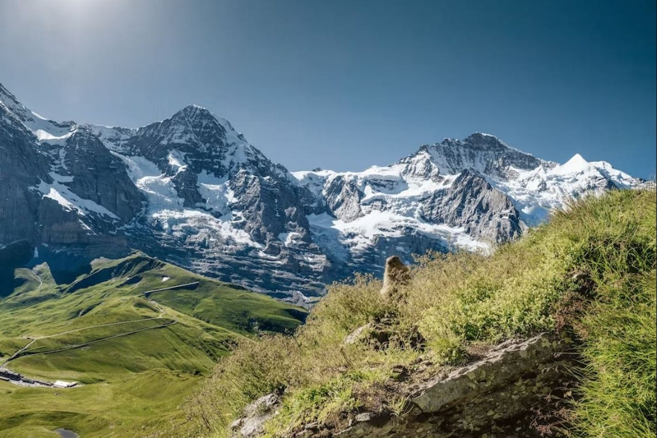 Jungfraujoch: Roundtrip Train from Grindelwald – photo 5