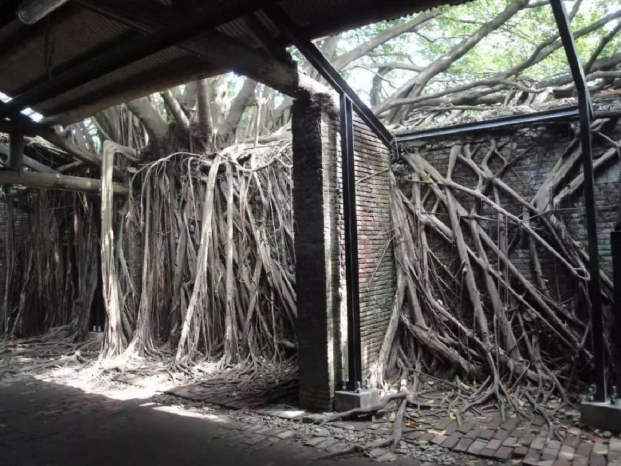 Tainan Anping Tree House Tour – photo 7