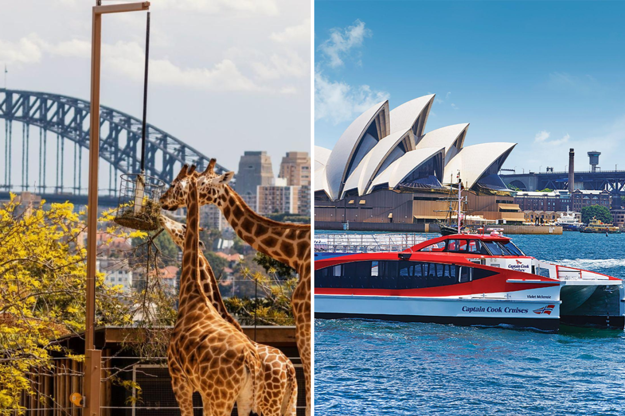 타롱가 동물원 티켓 (*운행 횟수 더 많은* 왕복 관광 페리 옵션 설날 할인 프로모션 진행 중!) - 시드니 필수 코스!