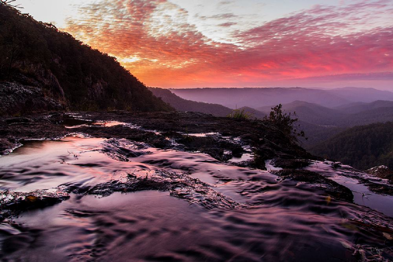 Springbrook National Park Night Tour – photo 3