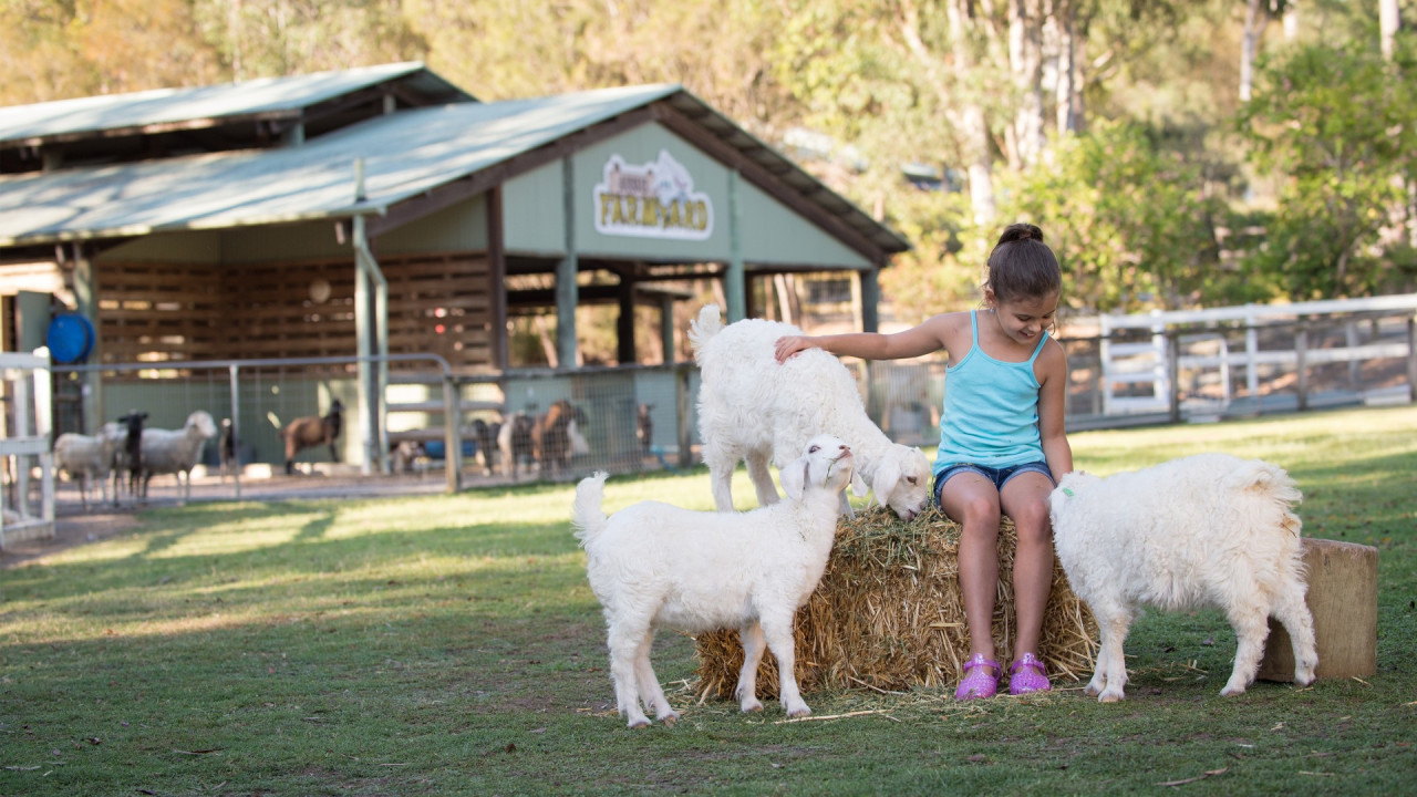 Paradise Country Farm Ticket – photo 5