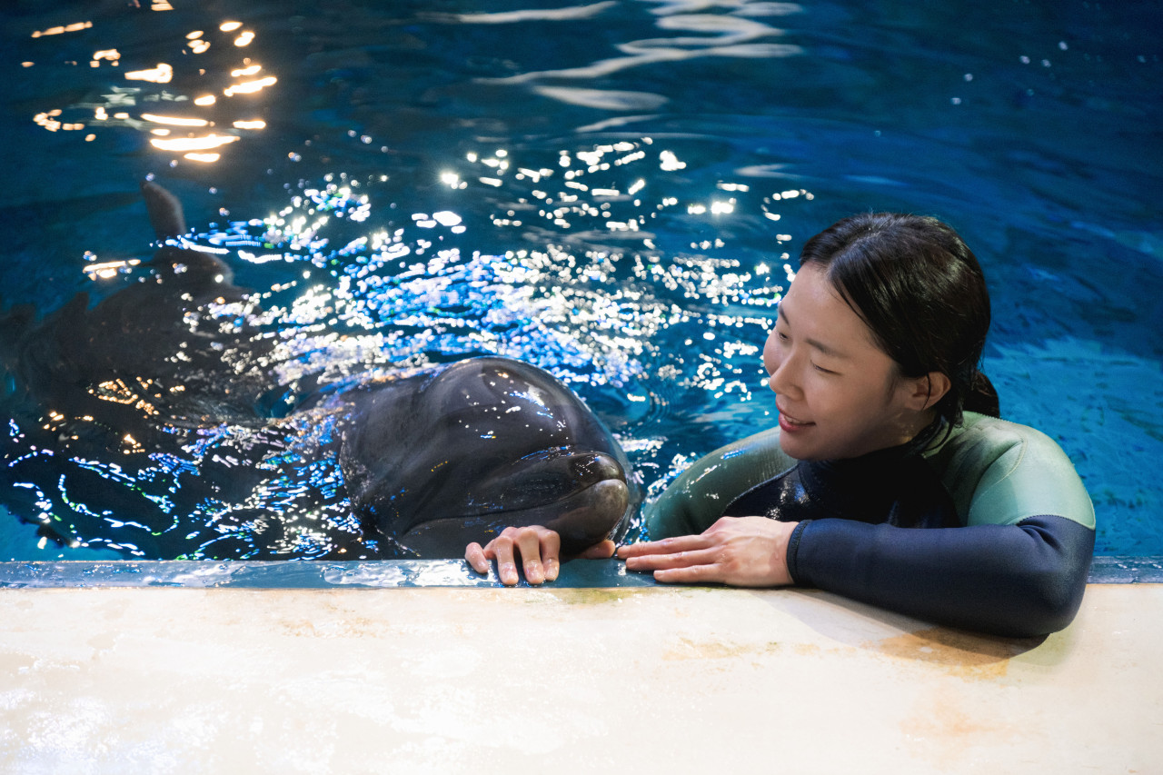 Aqua Planet Jeju Aquarium Ticket – photo 9
