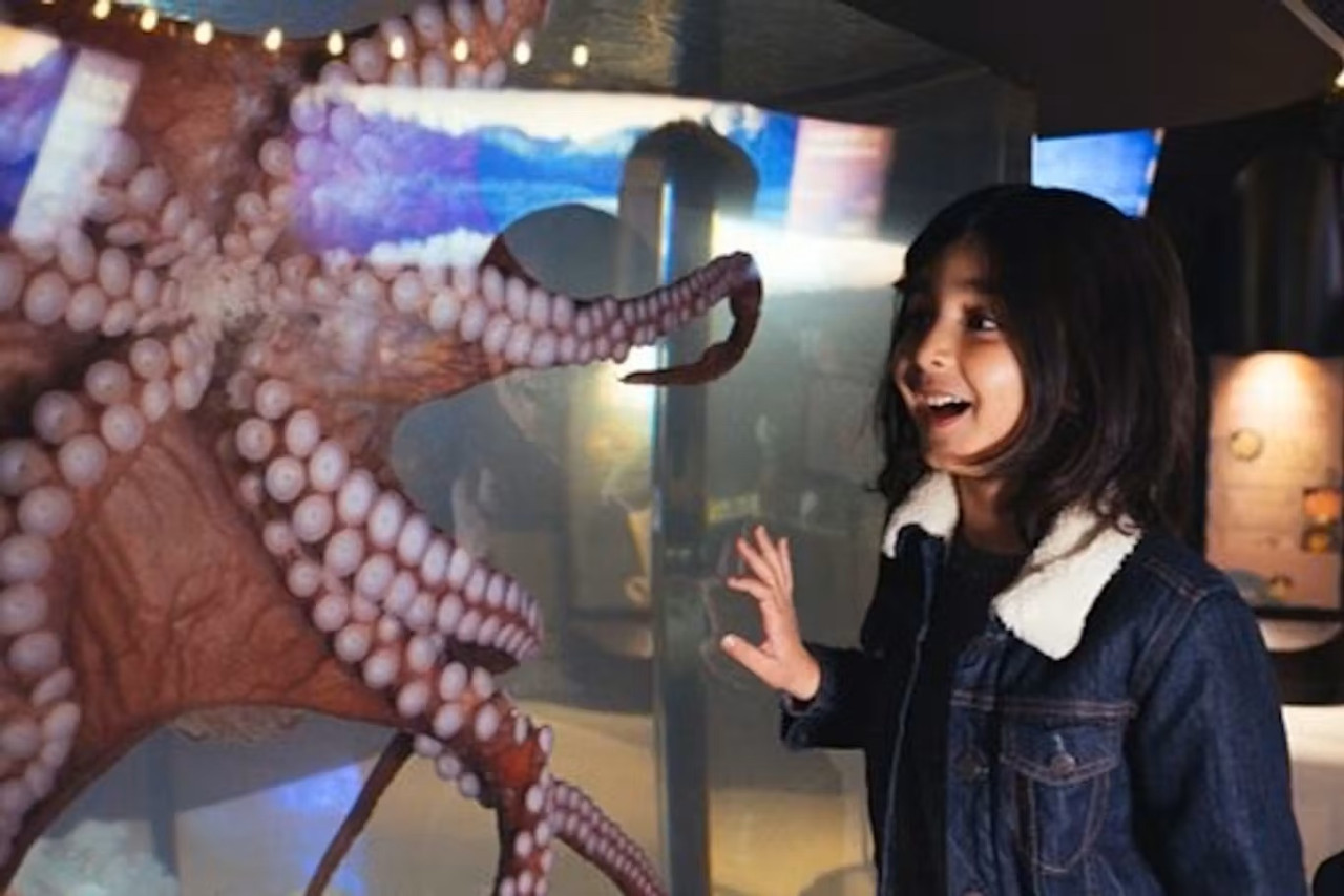 Vancouver Aquarium Ticket – photo 6