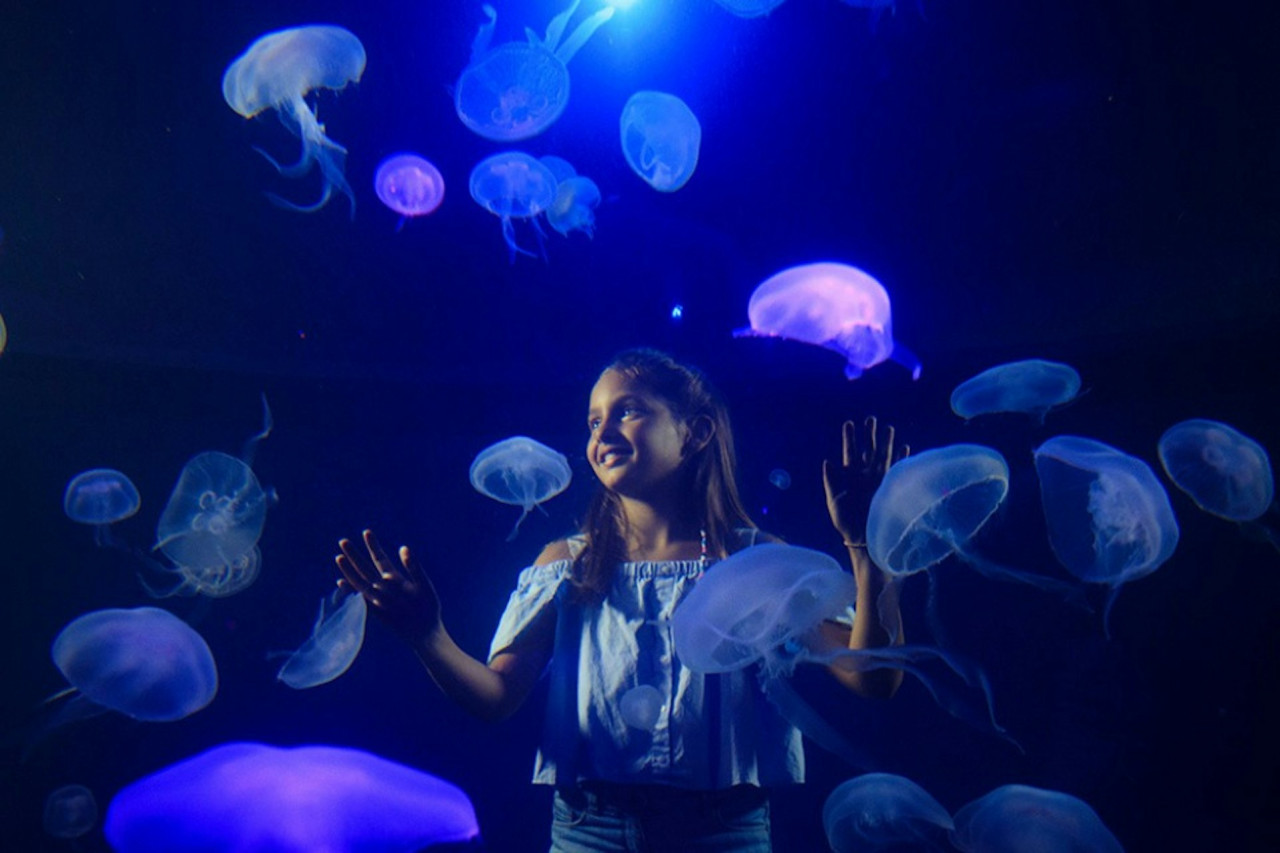 Palma Aquarium: Skip The Line Ticket + Optional 3D Cinema Aquadome – photo 2