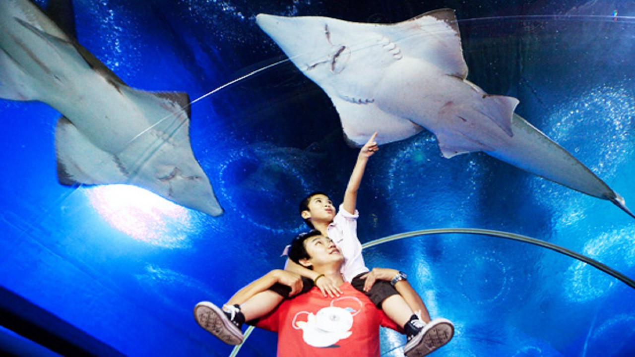 Underwater World Pattaya – photo 2