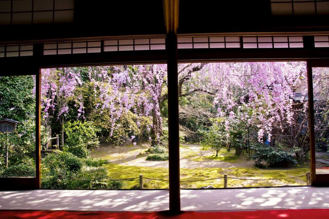 Myoshinji Temple Self-Guided Tour with Lunch – photo 5
