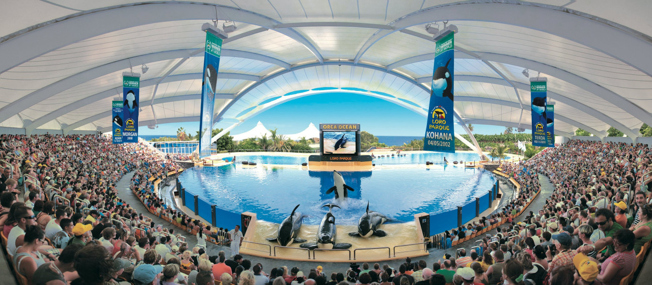 Loro Parque Ticket – photo 3