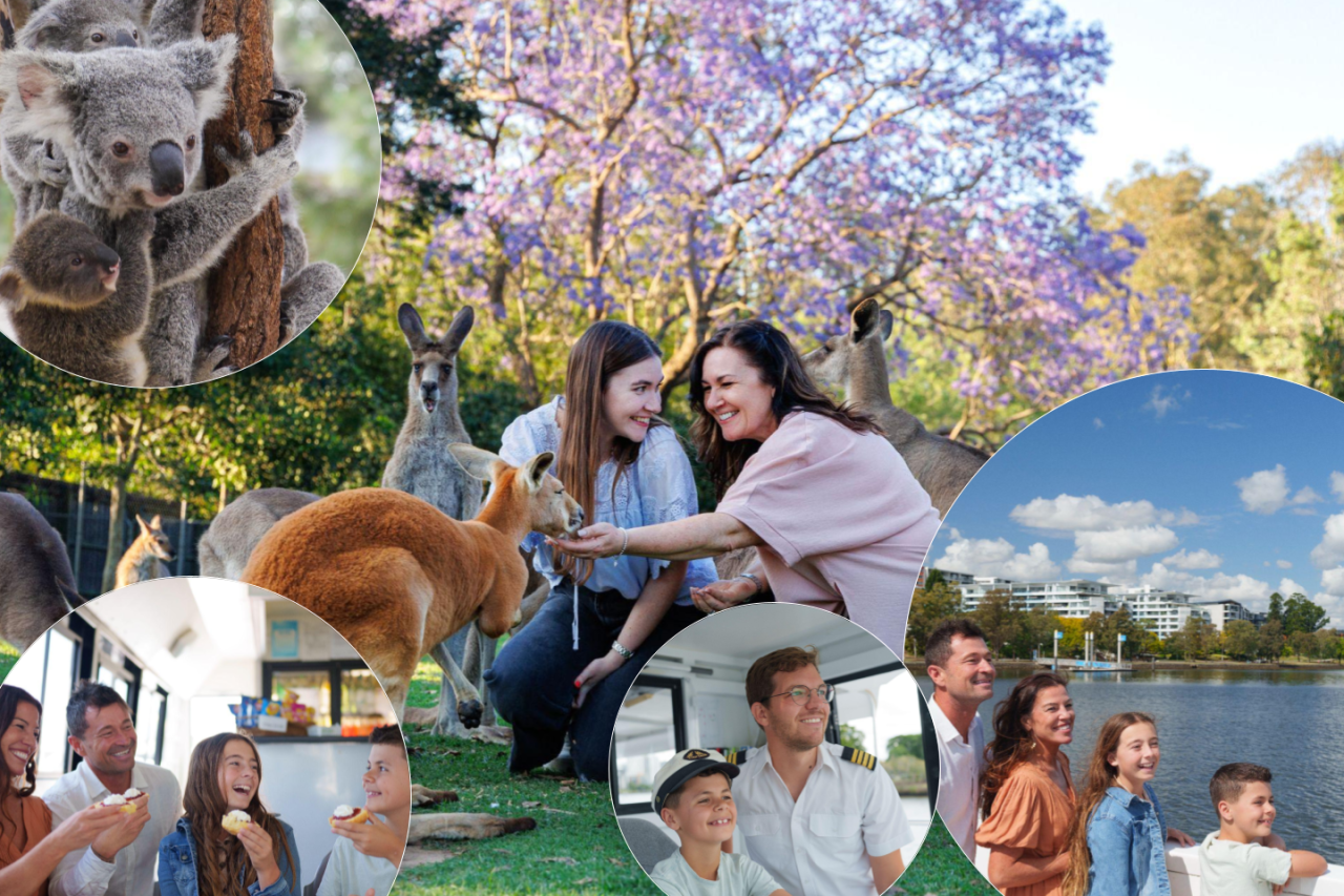 Lone Pine Koala Sanctuary Entry Ticket with Cruise – photo 2
