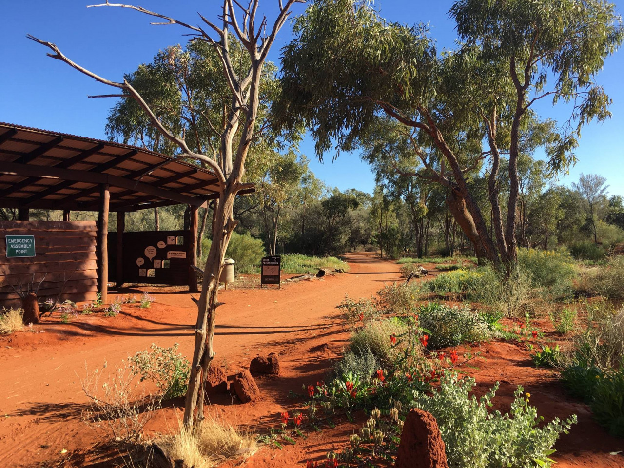 Alice Springs Desert Park – photo 4