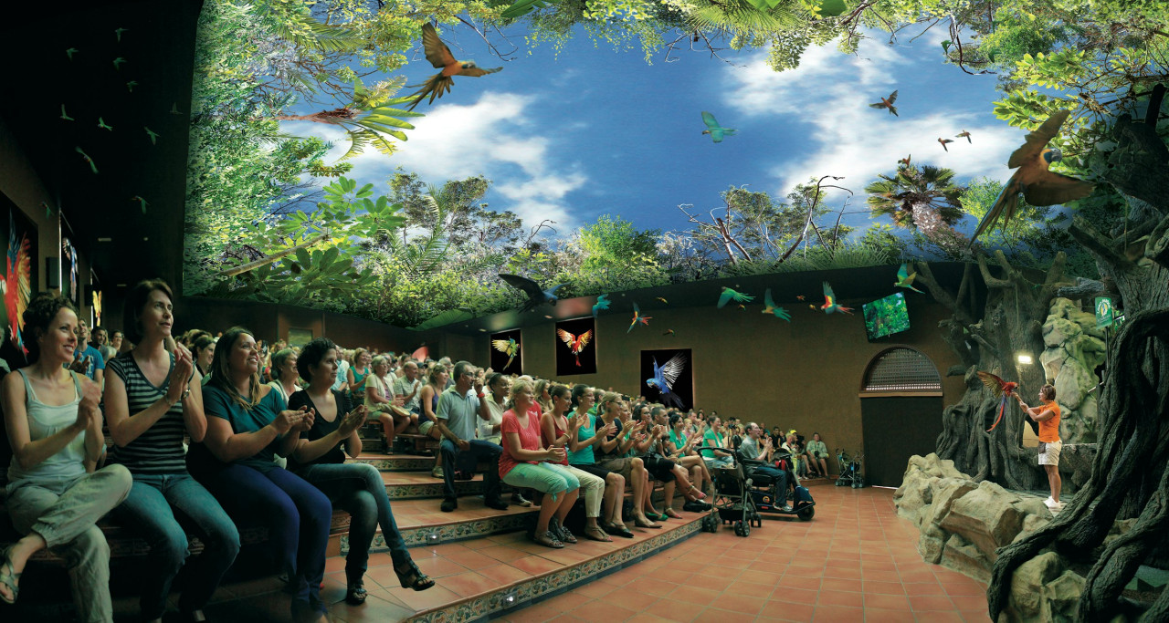 Loro Parque Ticket – photo 2