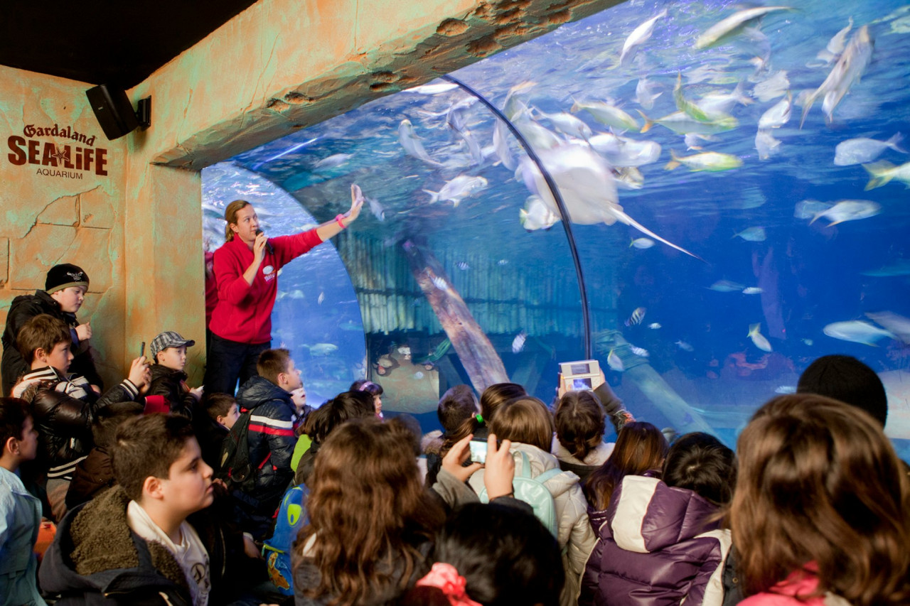 Gardaland SEA LIFE Aquarium Ticket – photo 9