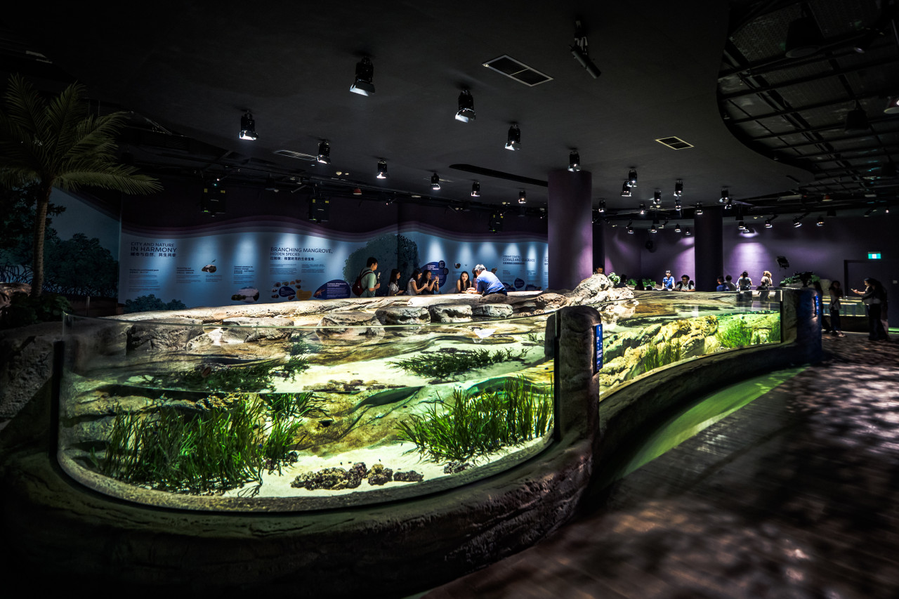 COMBO: Singapore Cable Car + Singapore Oceanarium + Albatross Hop-On Hop-Off Speedboat Tickets – photo 4