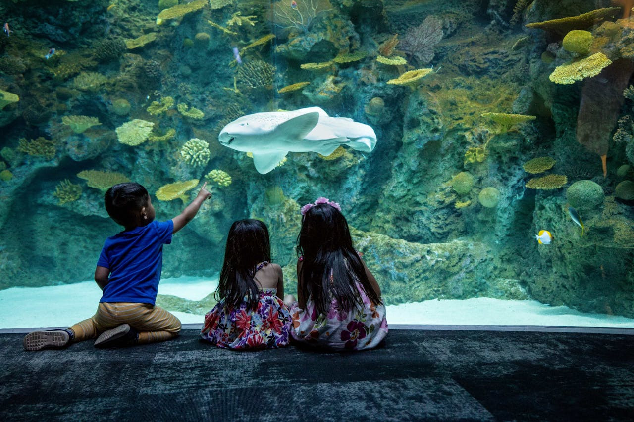 Seattle Aquarium Ticket – photo 3