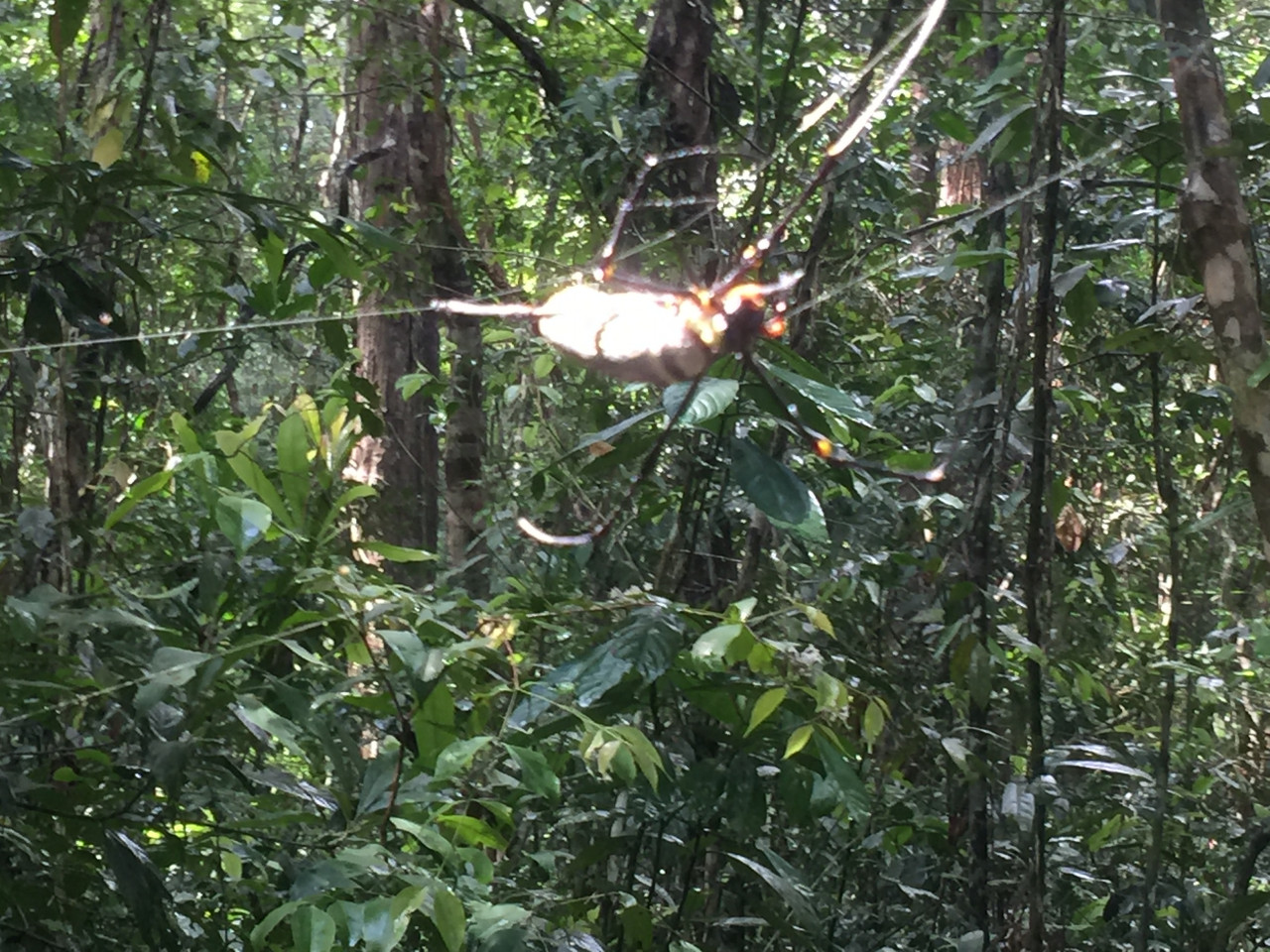 Angkor Temple Trekking Experience – photo 4
