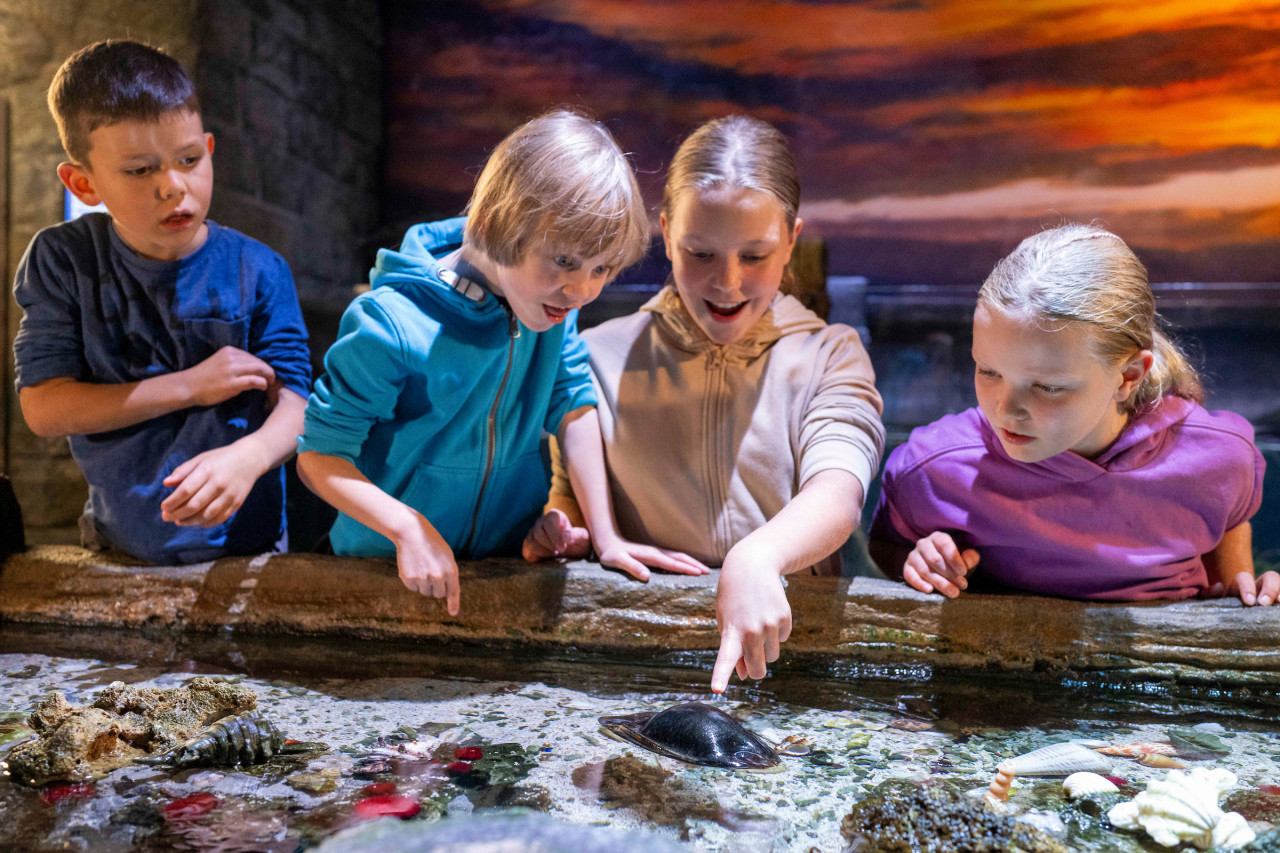 씨 라이프 뮌헨 아쿠아리움 입장권 