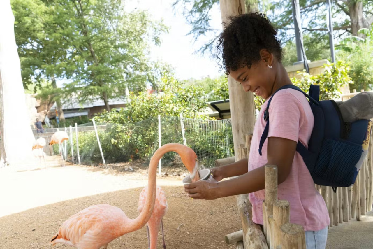 San Antonio Zoo Ticket – photo 7