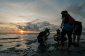 s: Intertidal Exploration: photo #5