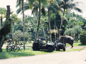 s: Elephant Park Admission: photo #7