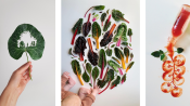 s: Plated Masterpieces: A Food Artventure with Giulia Bernadelli at MINT Museum of Toys: photo #5
