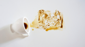 s: Plated Masterpieces: A Food Artventure with Giulia Bernadelli at MINT Museum of Toys: photo #2