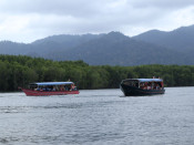s: Langkawi Unesco Geopark Mangrove Cruise: photo #3